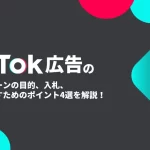 TikTok広告のキャンペーンの目的、入札、成果を出すためのポイント4選を解説